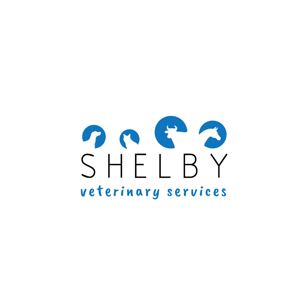 Design de Logo par trdmy pour ce projet | Design #22085599