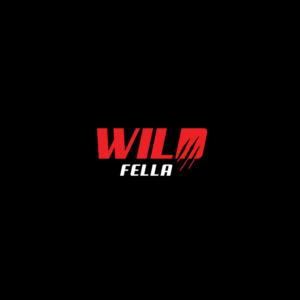 Logo Design by ESolz Technologies