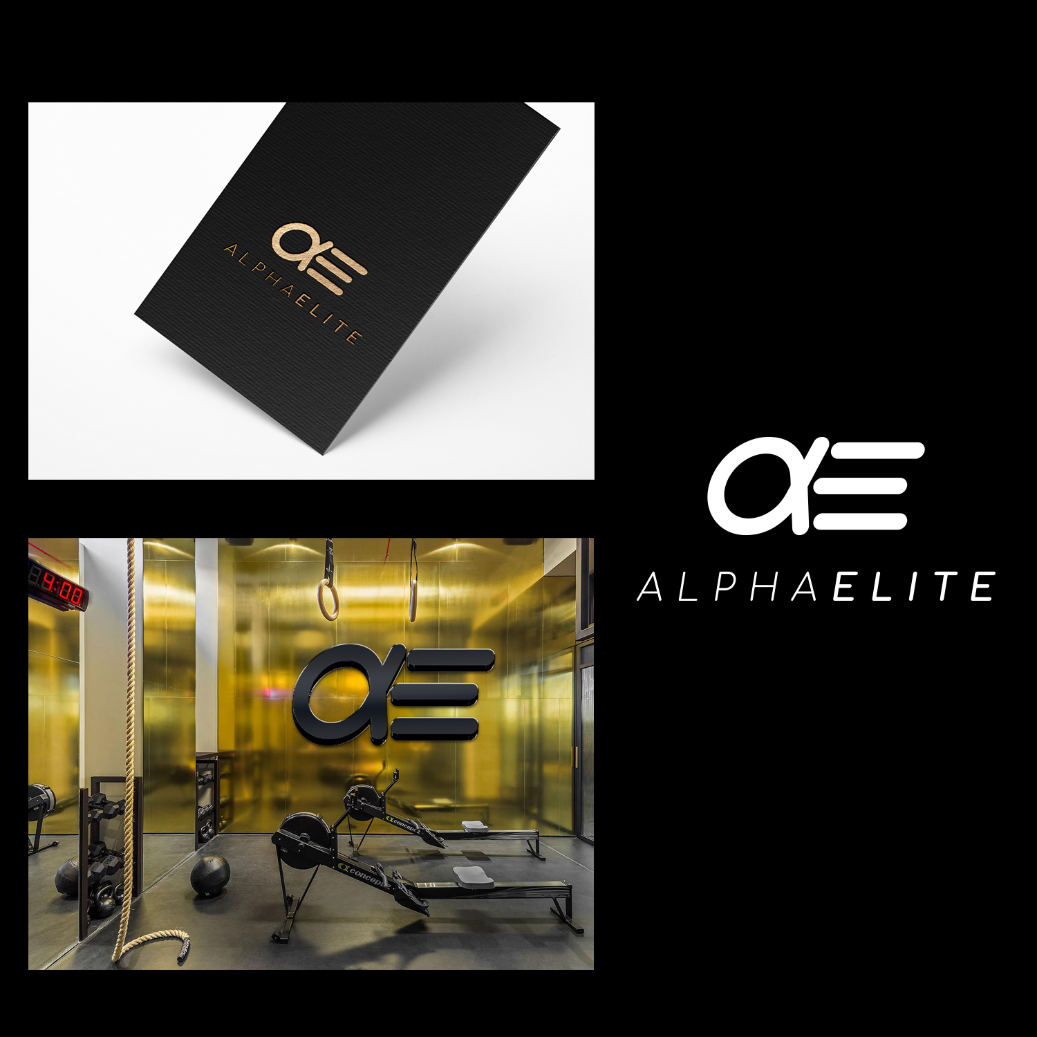 Logo Design by rls for alpha elite | Design #22270327