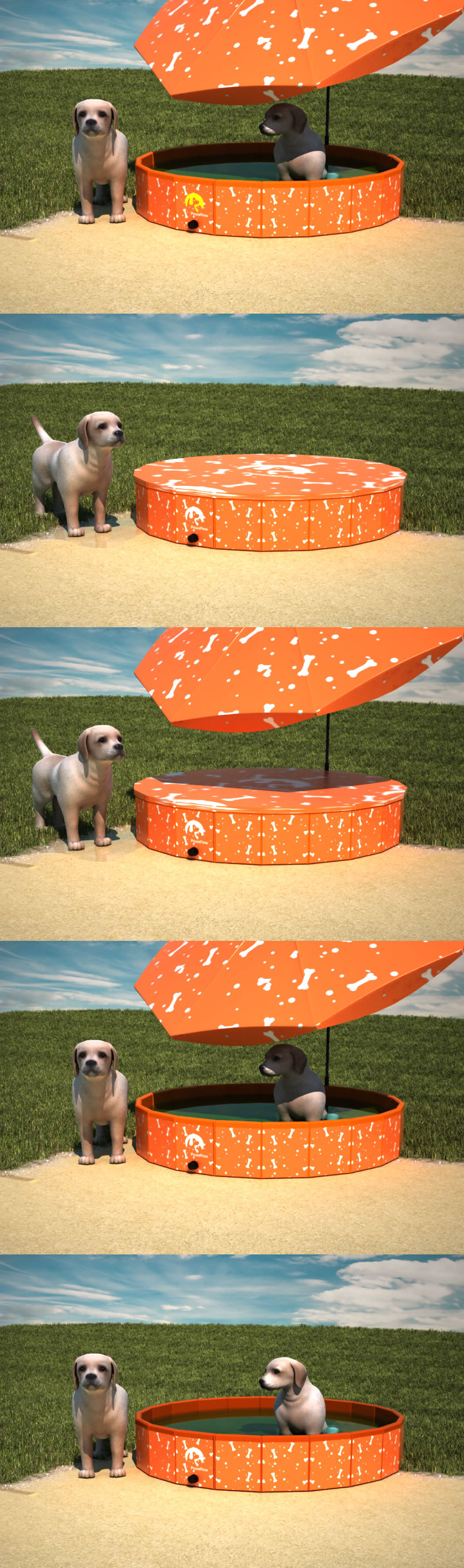 Graphic Design by Andray for this project | Design #22124066