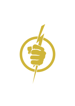 Logo Design by mistre tempo