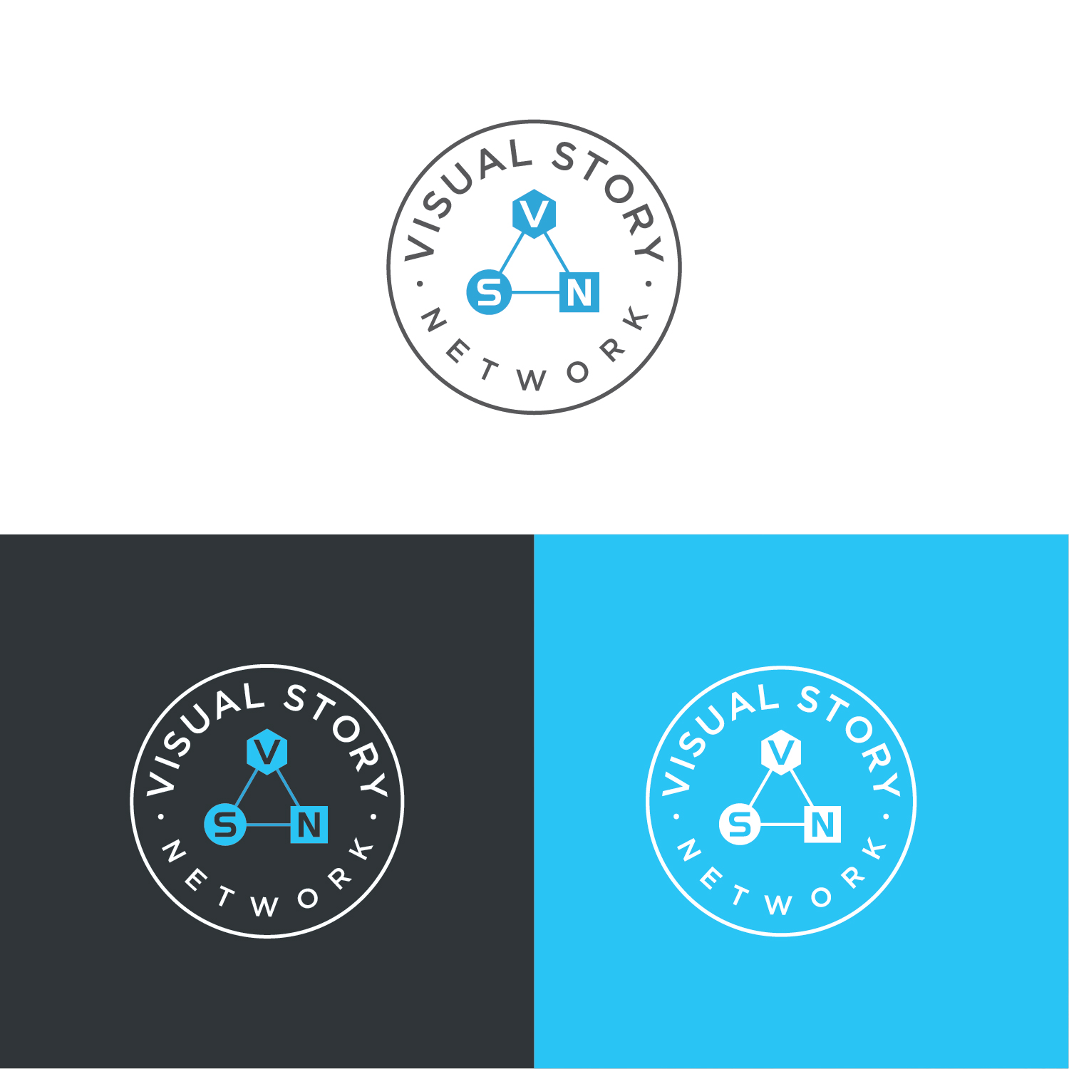 Logo Design by Muhammad Imran 3 for Visual Story International | Design #22062031
