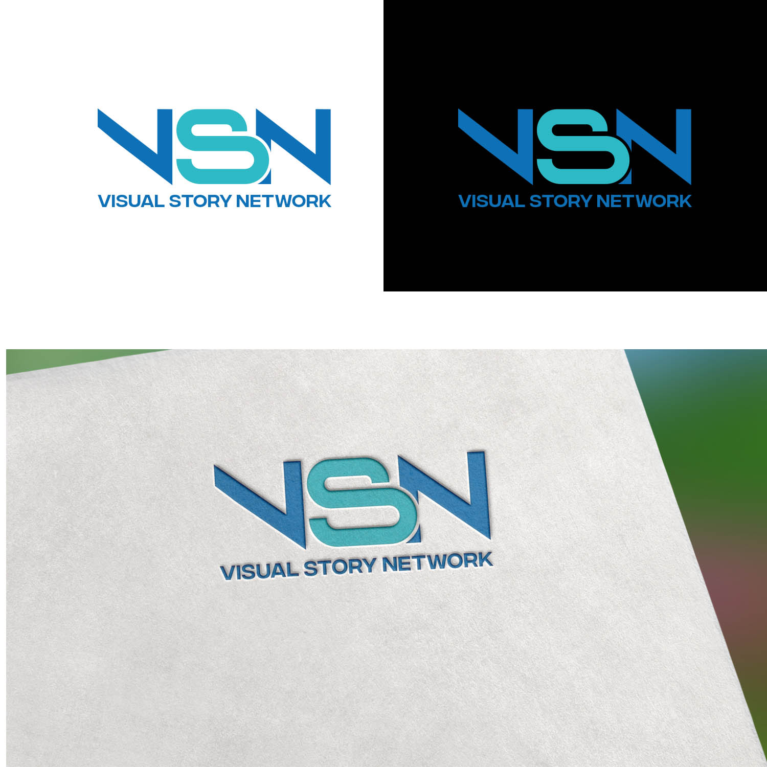 Logo Design by Finley Johnson for Visual Story International | Design #22093026