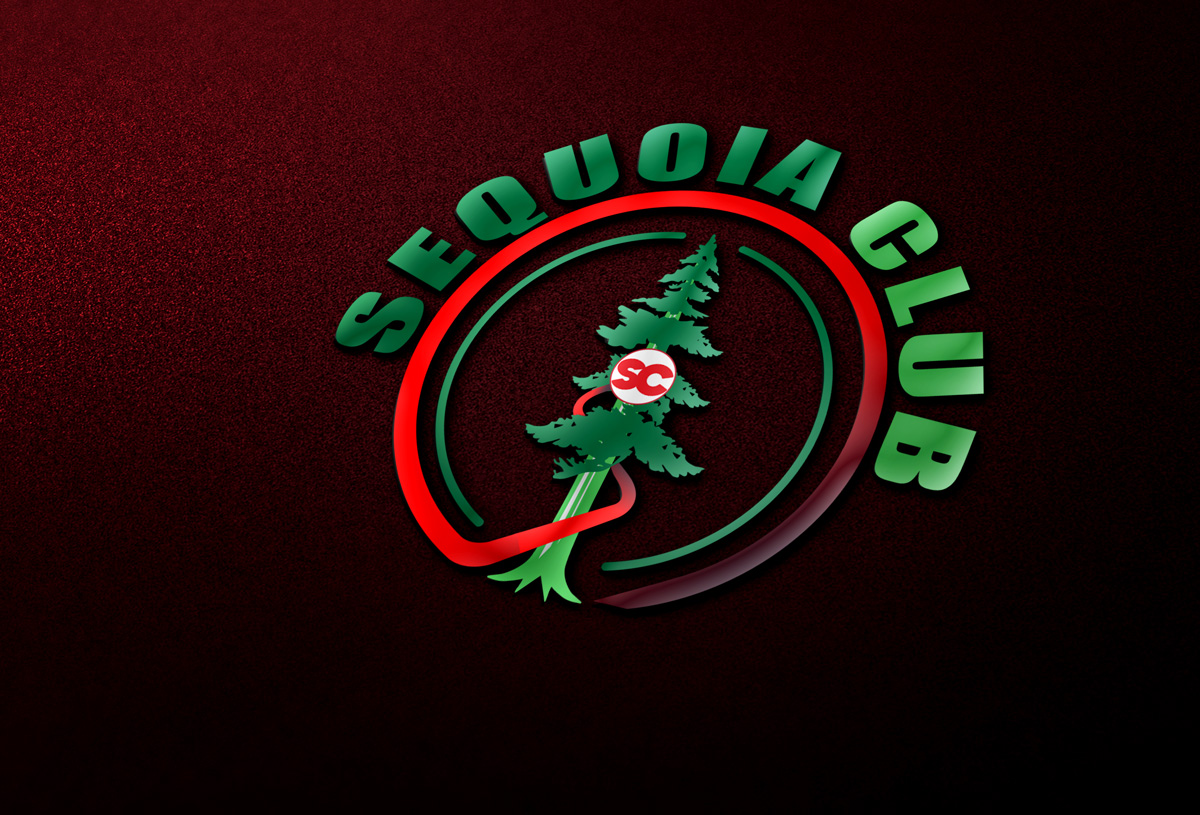 Logo Design by Wonderful design for this project | Design #22058065