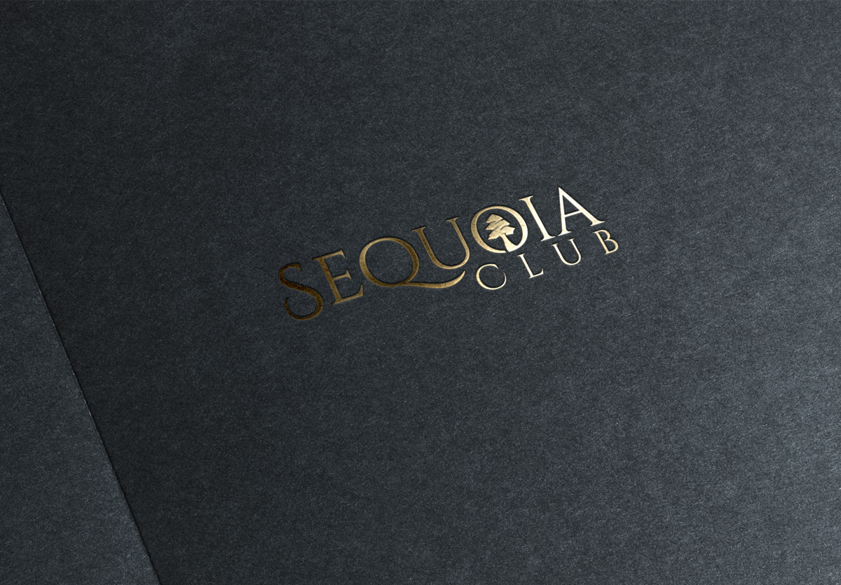 Diseño de Logo por Design Solving para este proyecto | Diseño #22047016