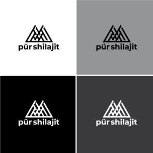 Logo Design by Graphic Bricks