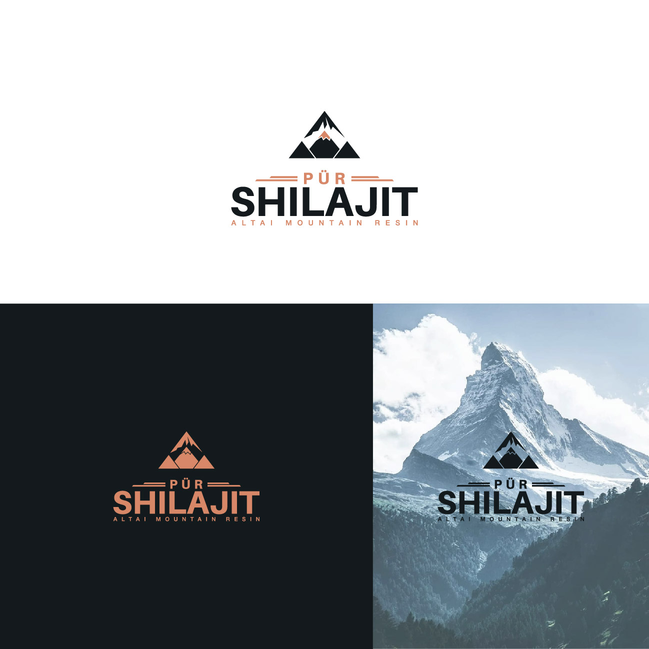 Logo-Design von 4tech services für dieses Projekt | Design #22048431