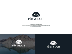 pür shilajit | Design de Logo par Aidenjar