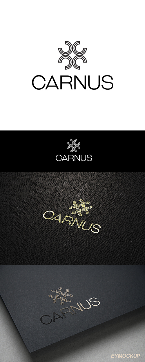 Logo Design by anshtoyj for this project | Design #22062063