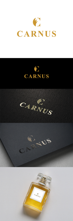 Logo Design by anshtoyj for this project | Design: #22062887