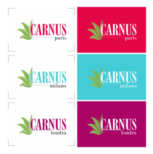 Logo Design by tuncayparlak 3