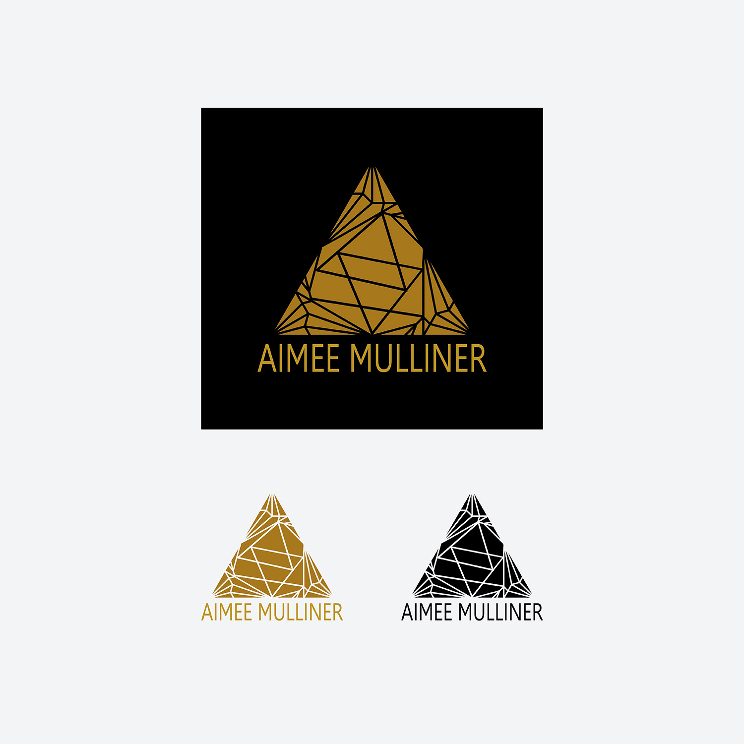 Logo Design by jaimechanics 2 for this project | Design #22066348