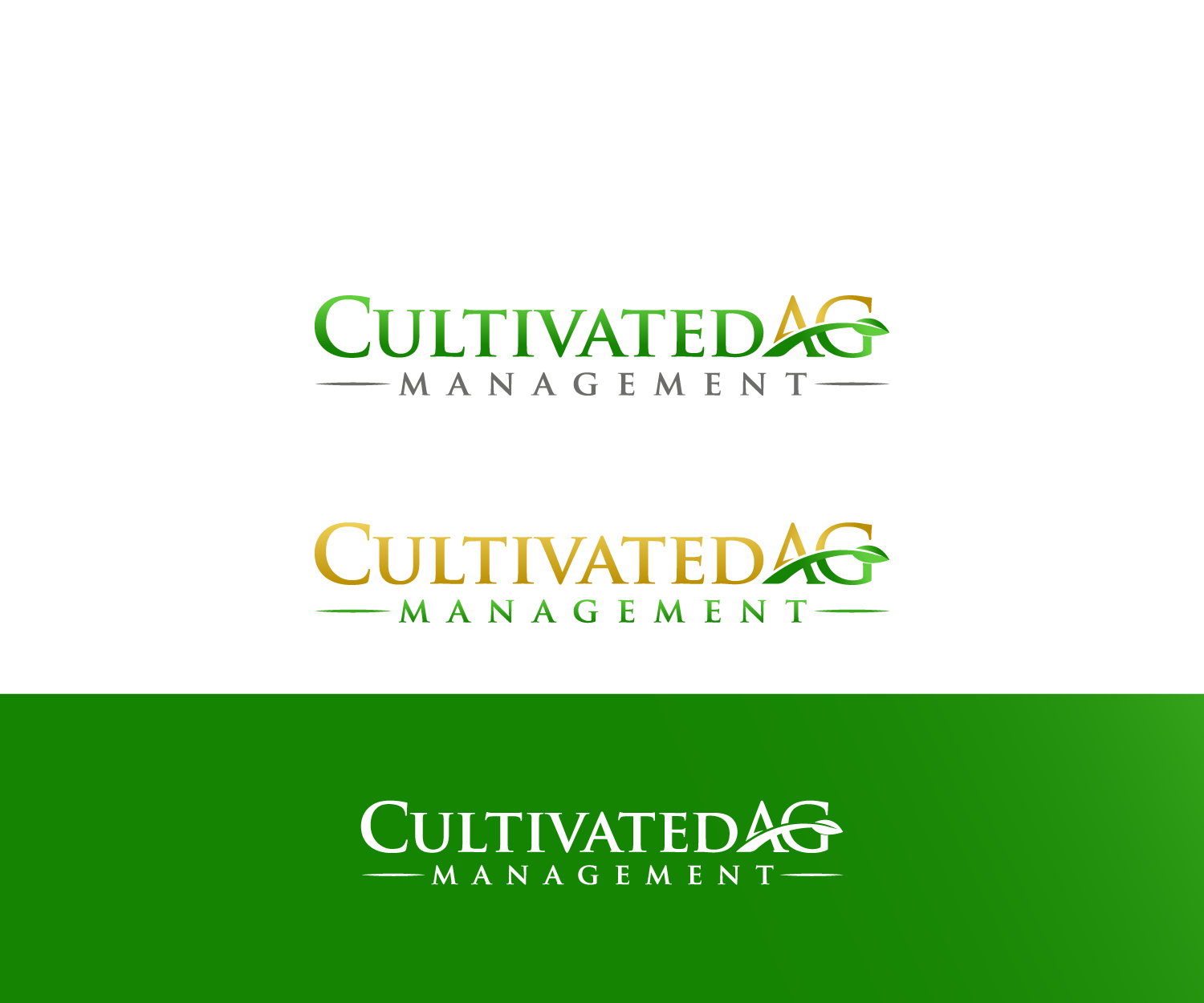 Logo Design by anico for this project | Design #22084282