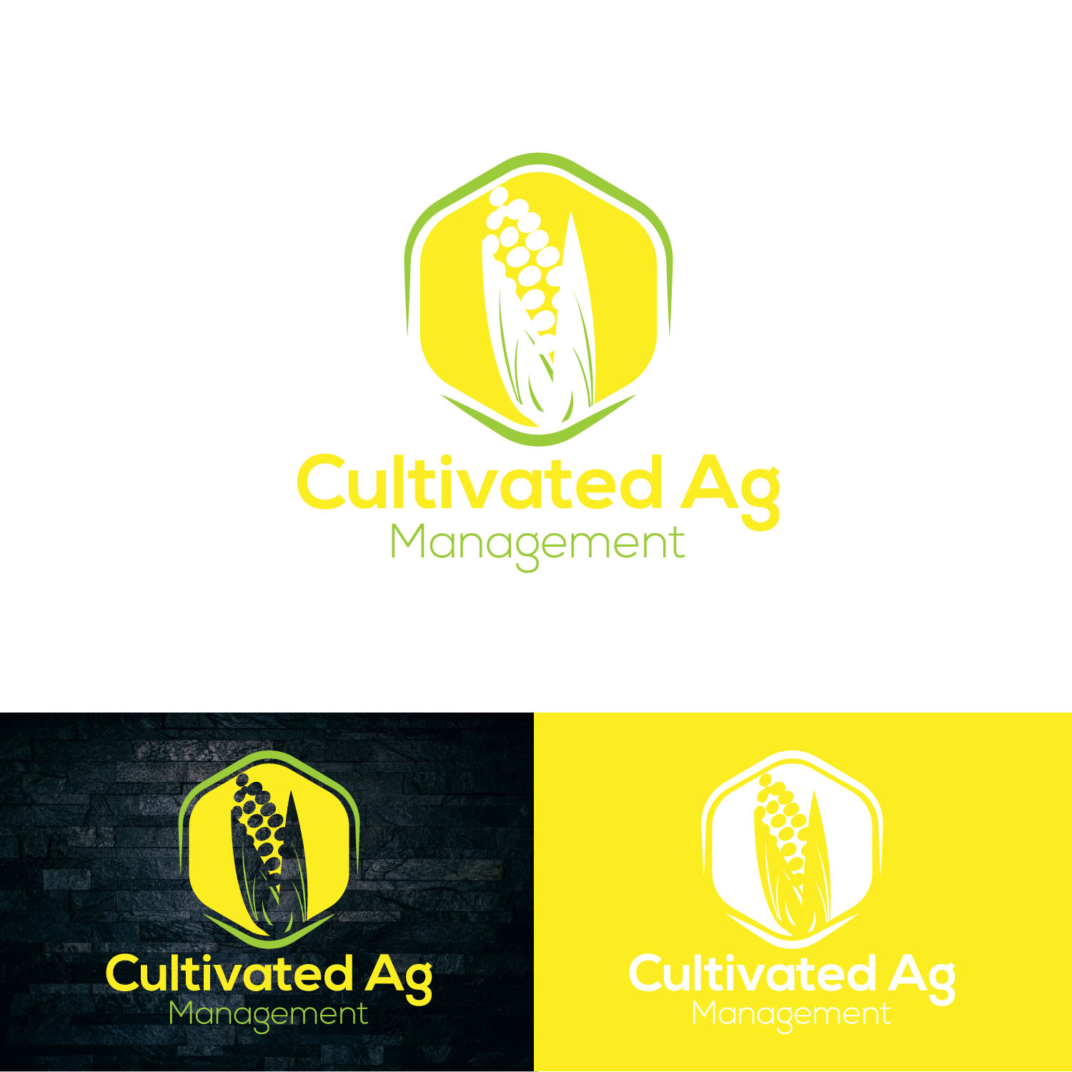 Logo Design by Tonmoyy for this project | Design #22090771