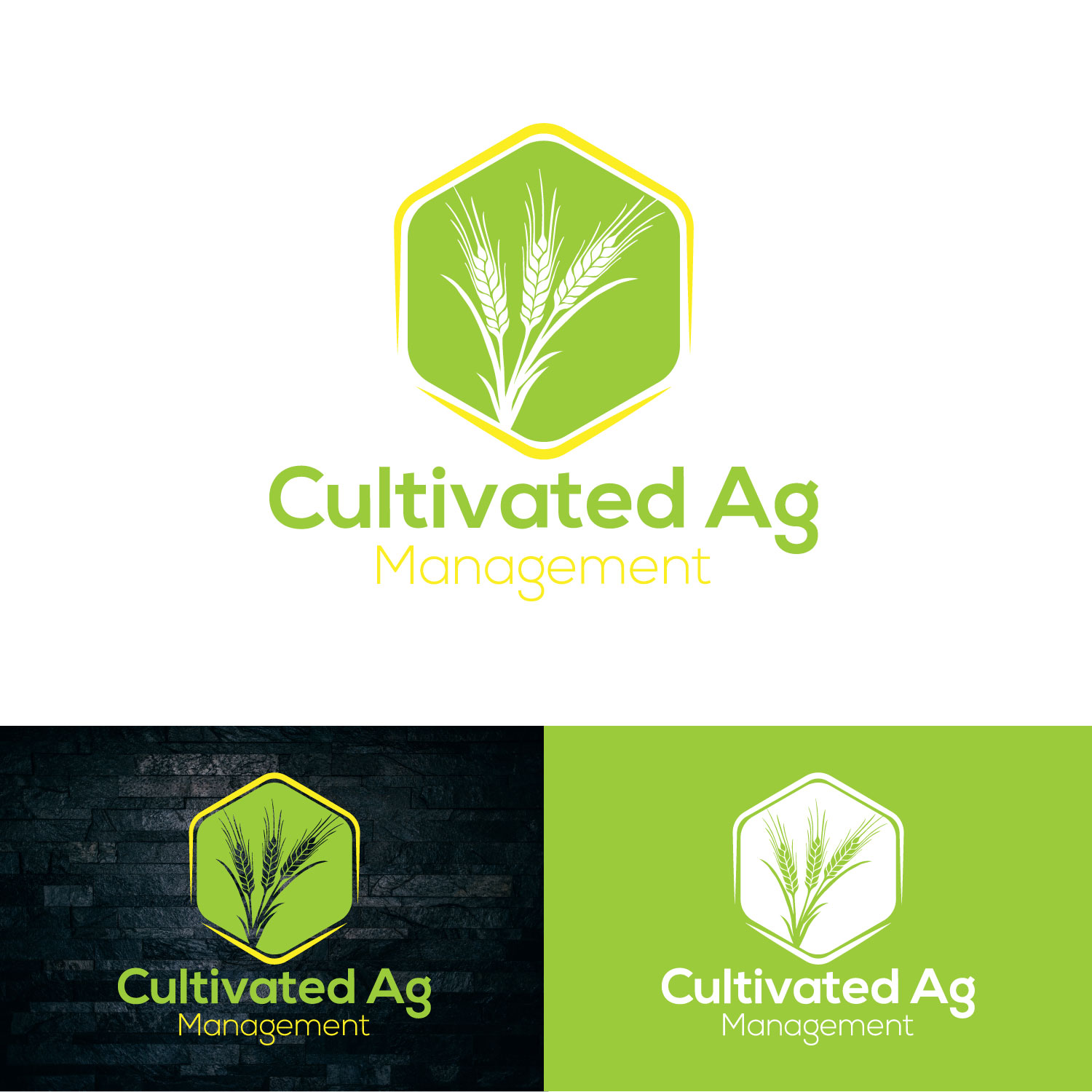 Logo Design by Tonmoyy for this project | Design #22090772