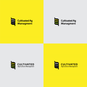 Logo Design by MaydanMedia