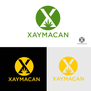 Logo Design by fly  design for Director | Design: #22106813