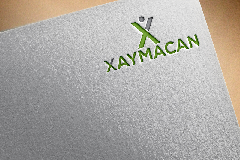 Logo-Design von Quippi für Director | Design #22108647
