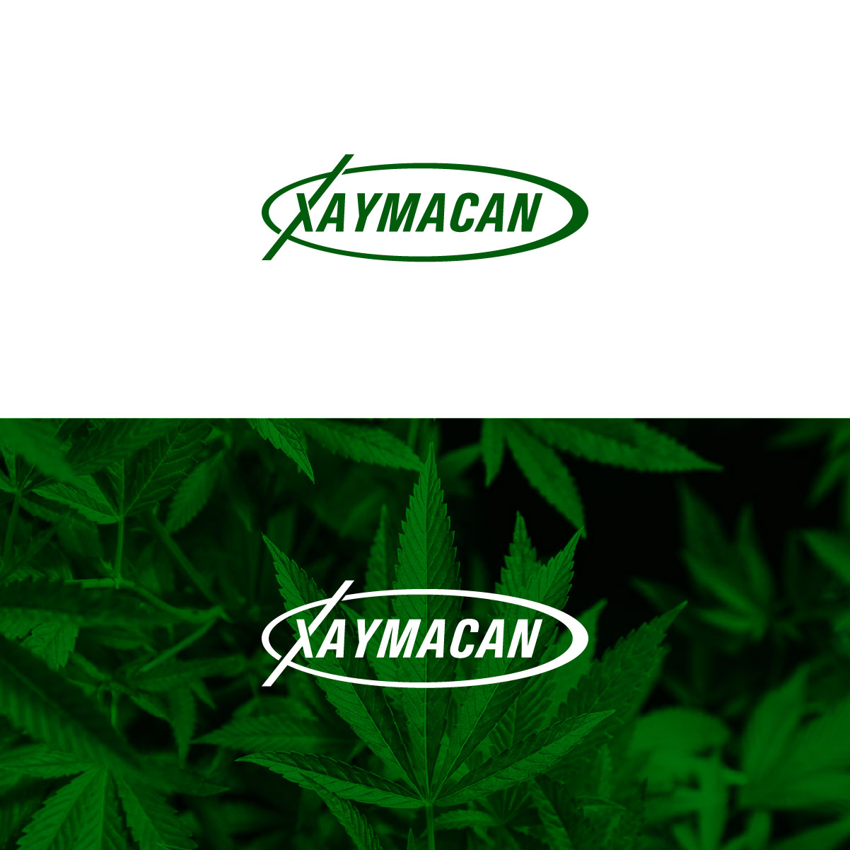 Logo Design by 4tech services for Director | Design #22087705