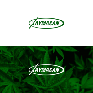 Logo Design by 4tech services for Director | Design: #22087705
