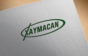 Logo Design by 4tech services for Director | Design: #22087707
