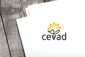 Logo Design by codeuridea