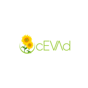 Logo Design by Next Screen Infotech for this project | Design #22092143