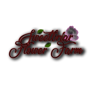 Logo Design by hafizpeace93