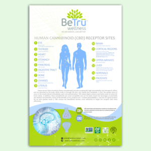 Flyer Design by EDesignN