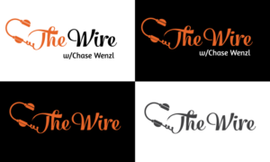 Logo Design by Expert Designer