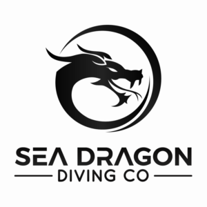 Logo Design by Royal Orchid for this project | Design #22147467