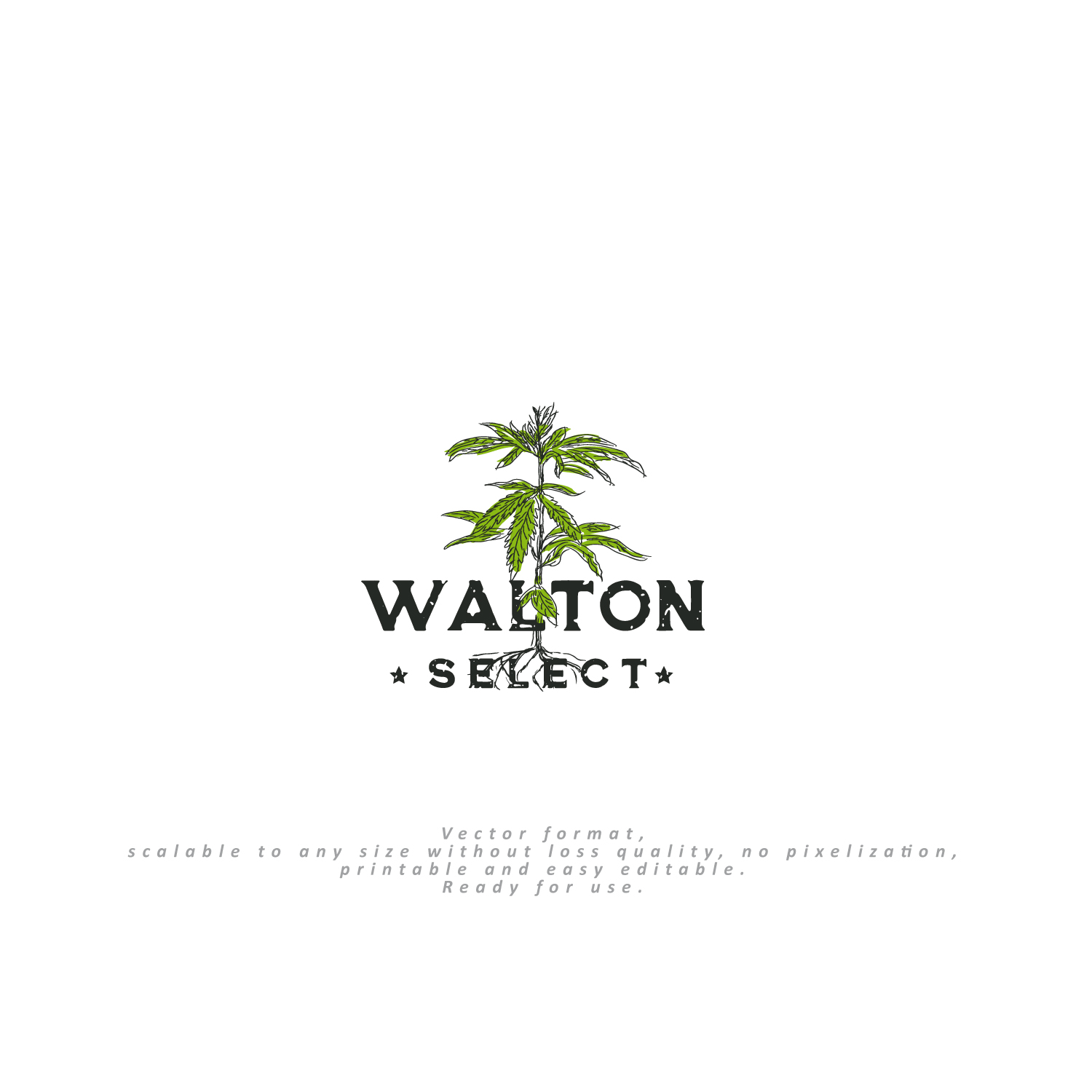 Logo Design by NEX for this project | Design #22175087