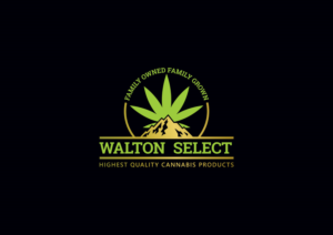 Logo Design by Sergio D