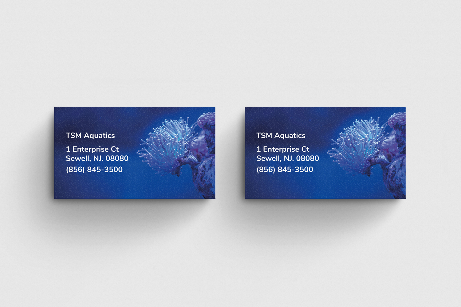 Business Card Design by Yooo for this project | Design #22113089