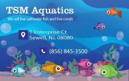 Business Card Design by Yuji Design 2 for this project | Design: #22104896