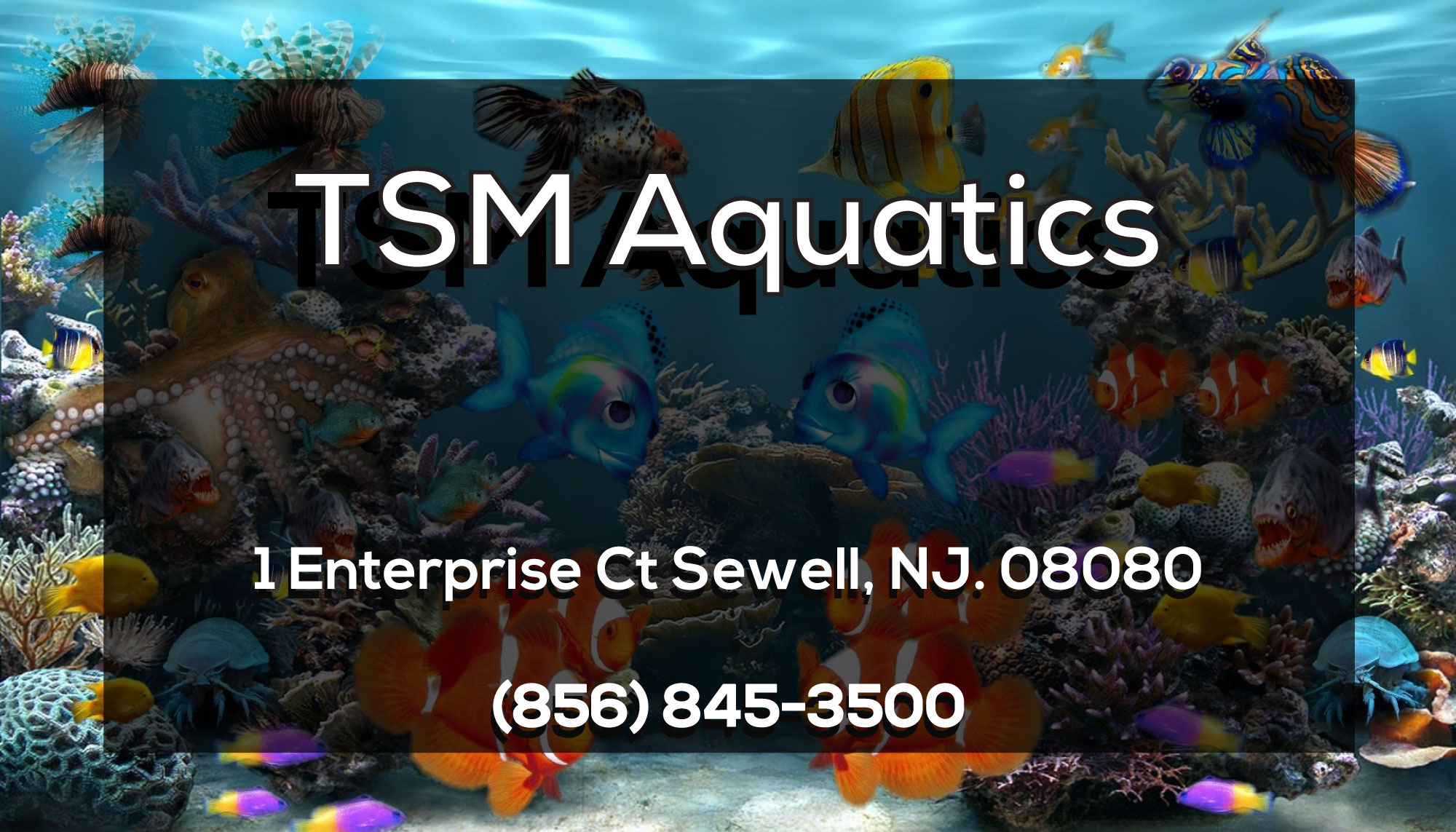 Business Card Design by Mayur Art for this project | Design #22112369