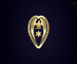 Design de Logo par D_Mantra pour DOMESTIC SECURITY TRAINING ACADEMY | Design : #22124063