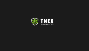 Logo Design by Wolfpencil Designs for this project | Design: #22115786