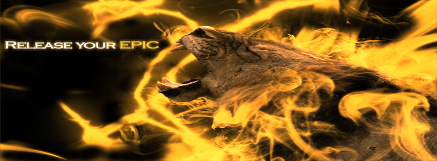 Design Facebook par Fire pour ce projet | Design #3041945