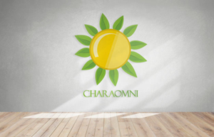 Logo Design by M3Pics