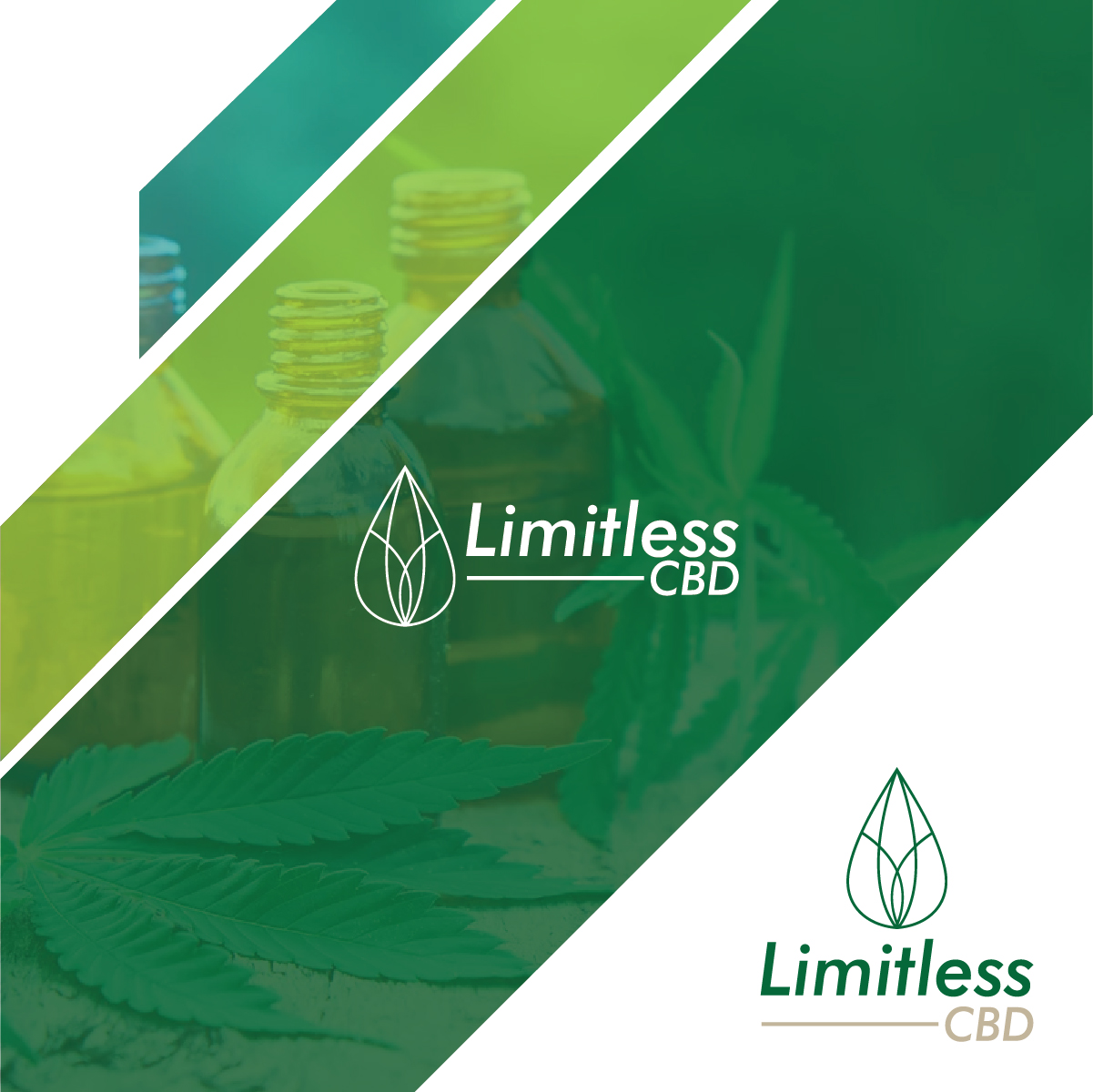 Logo Design by Deziners Zone for this project | Design #22125994