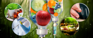 Banner-Design von Hristo Itchov für dieses Projekt | Design #22160115