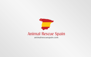 Logo Design by MT