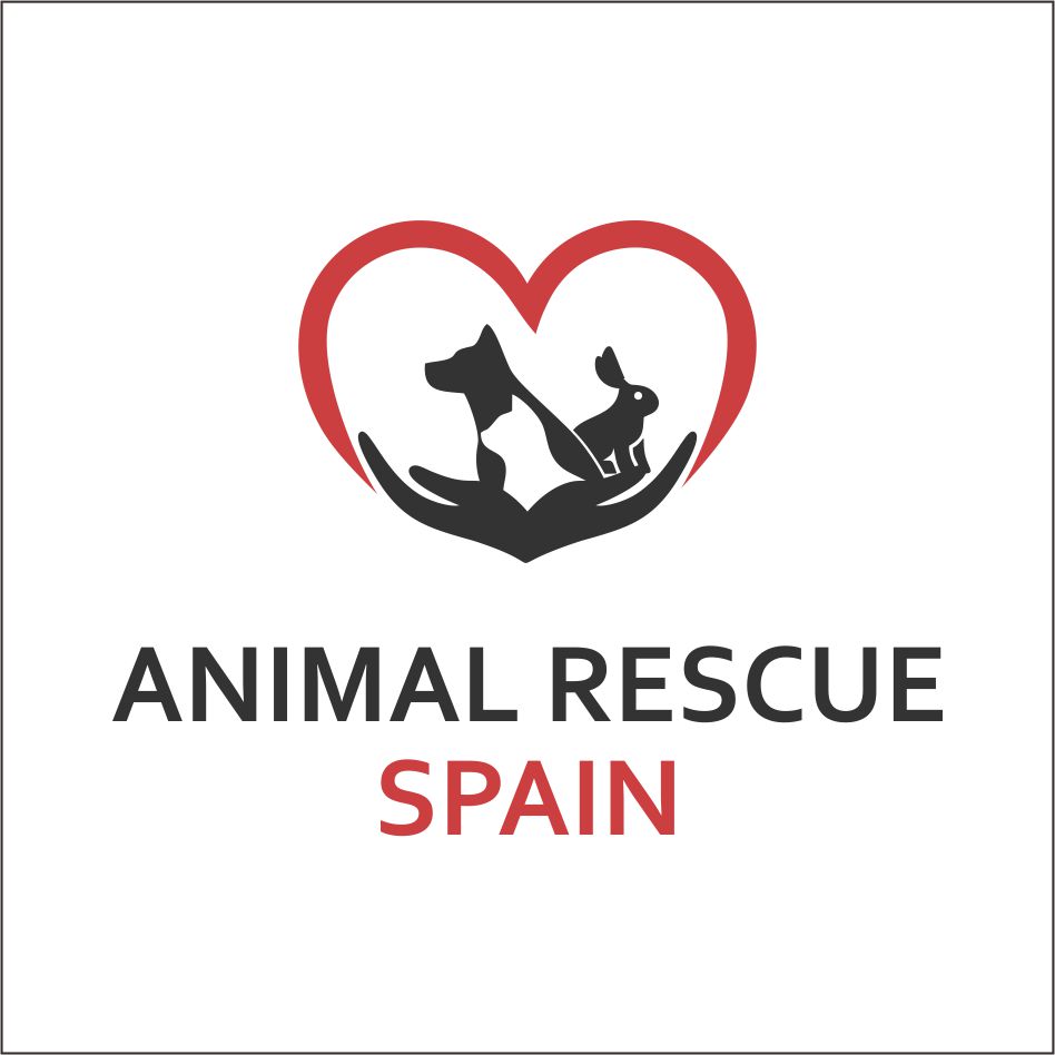 Logo Design by edo 5 for Costaleads S.L. CIF B93486603 | Design #22124939