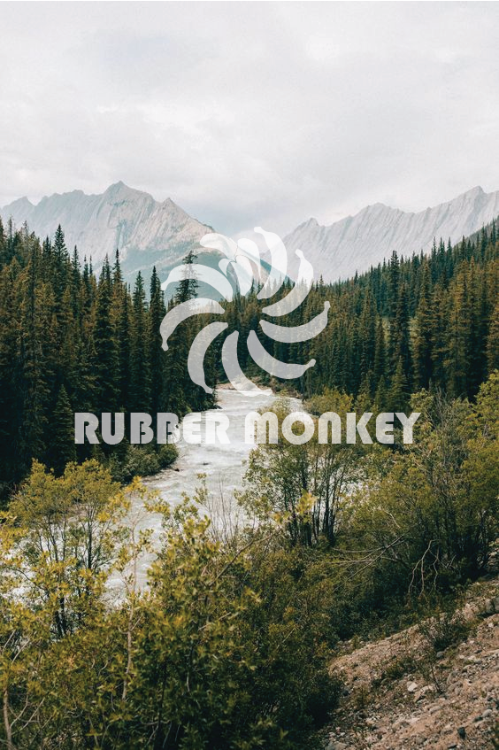 Logo Design by kjfellmeth 2 for Rubber Monkey | Design #22134416