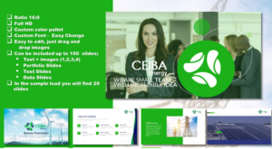 Diseño de PowerPoint por joseborgesbarboza 2 para este proyecto | Diseño: #22135473