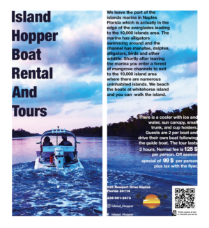Flyer Design by Xenia_kras