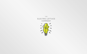 Logo Design by MT