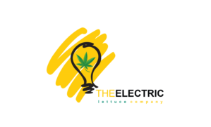 Logo Design by Ilieda 2