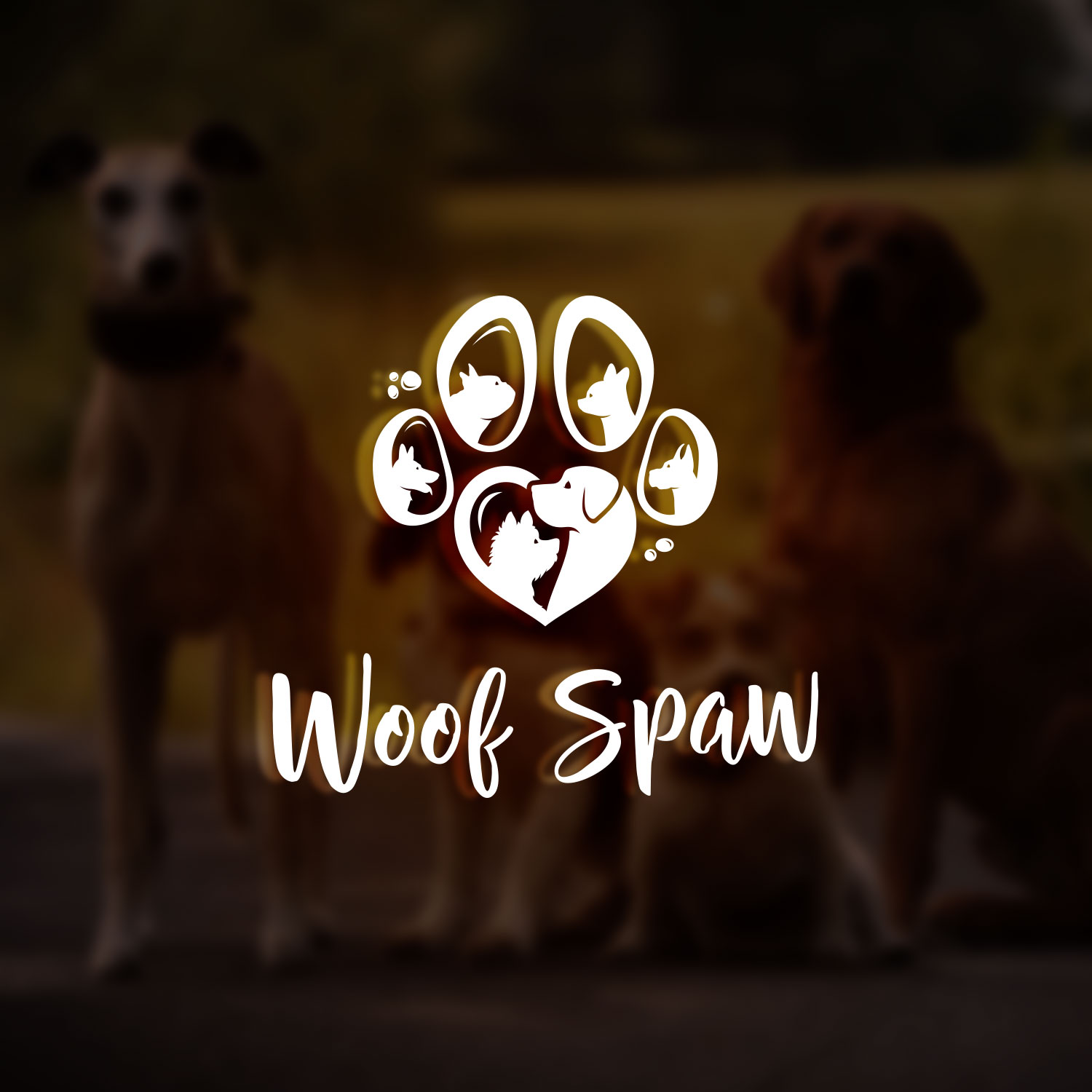 Logo Design by CS_Creatives for this project | Design #22177270